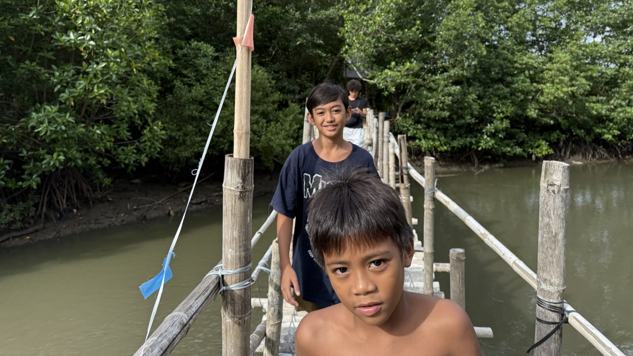 マングローブ植林体験 at Balaring Mangrove Eco-Park