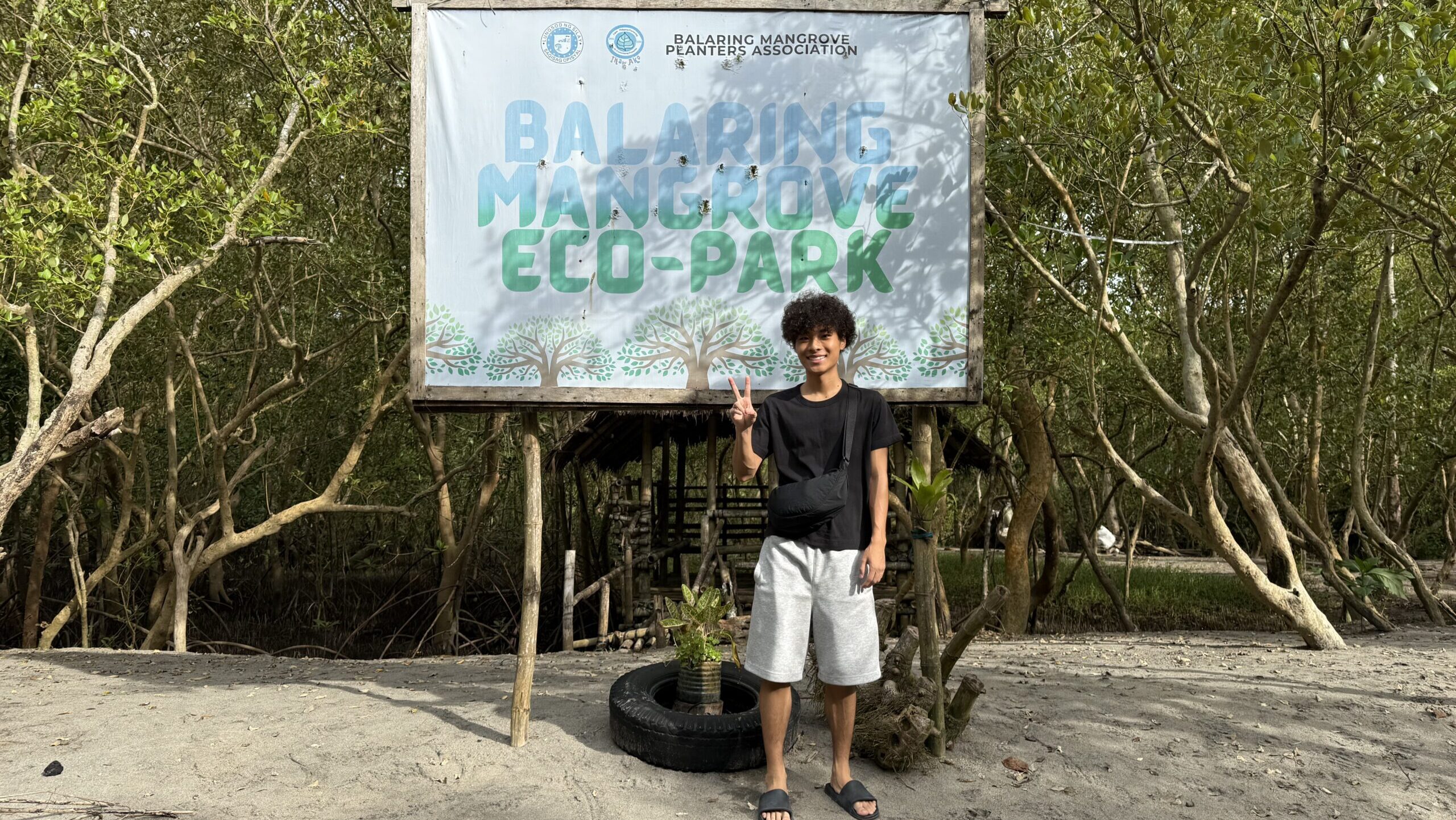 マングローブ植林体験 at Balaring Mangrove Eco-Park