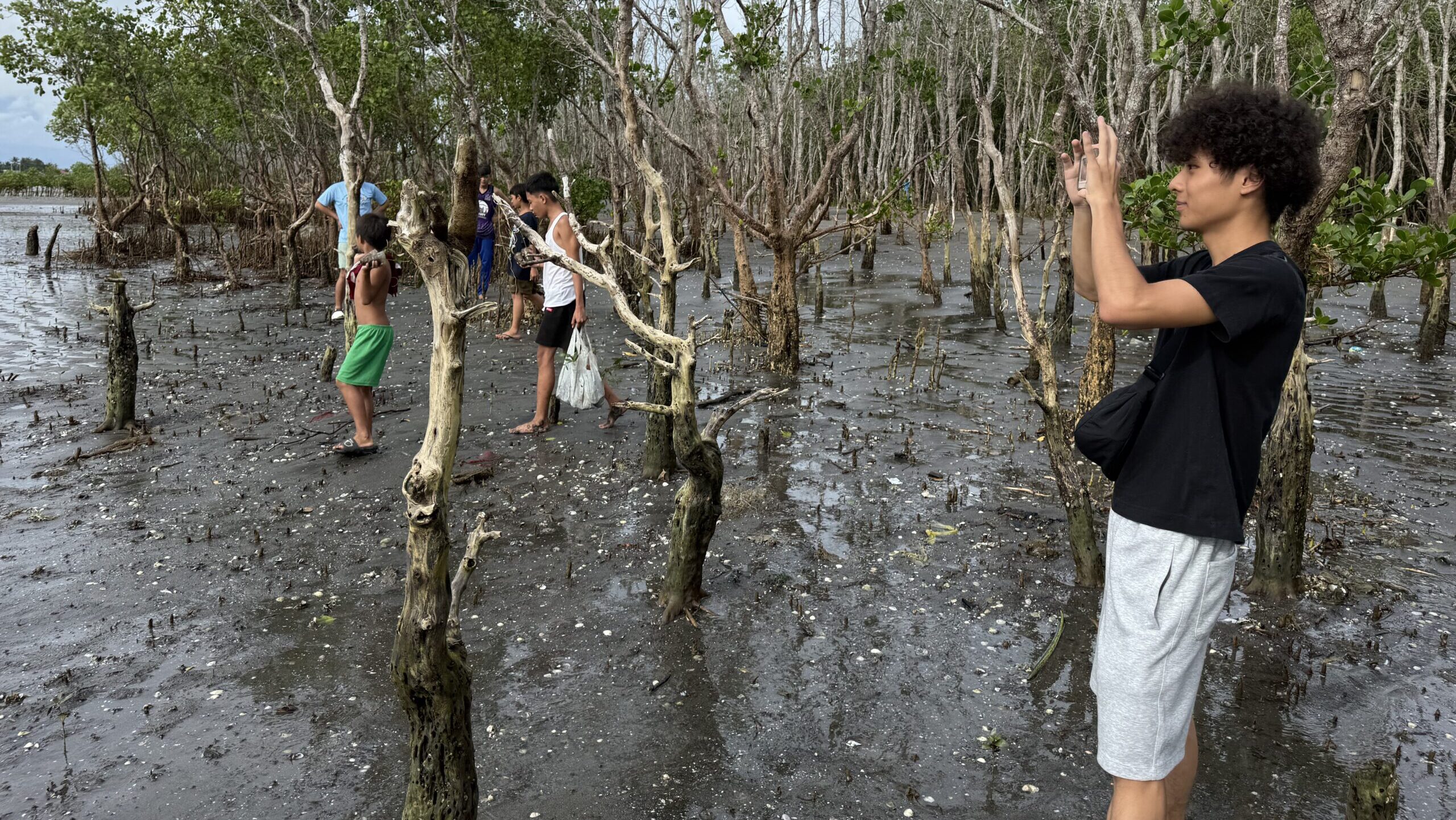 マングローブ植林体験 at Balaring Mangrove Eco-Park