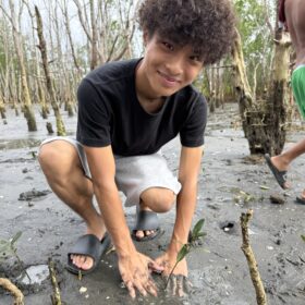 マングローブ植林体験 at Balaring Mangrove Eco-Park