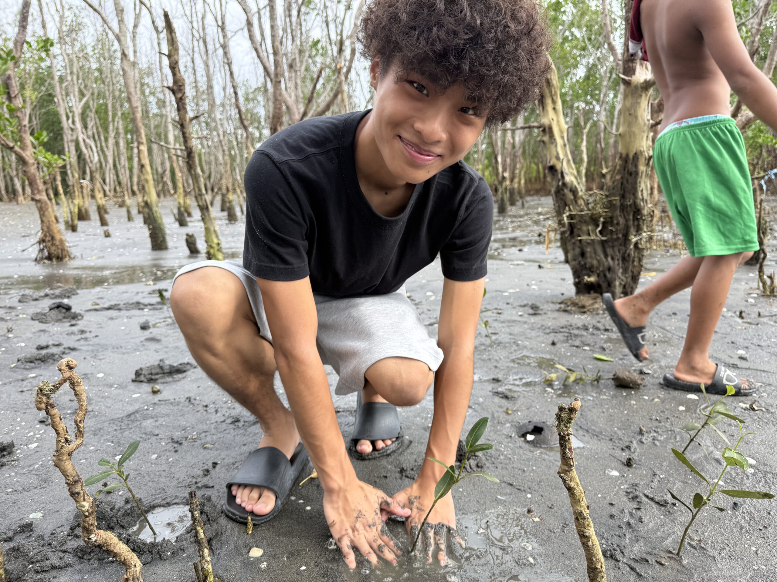 マングローブ植林体験 at Balaring Mangrove Eco-Park
