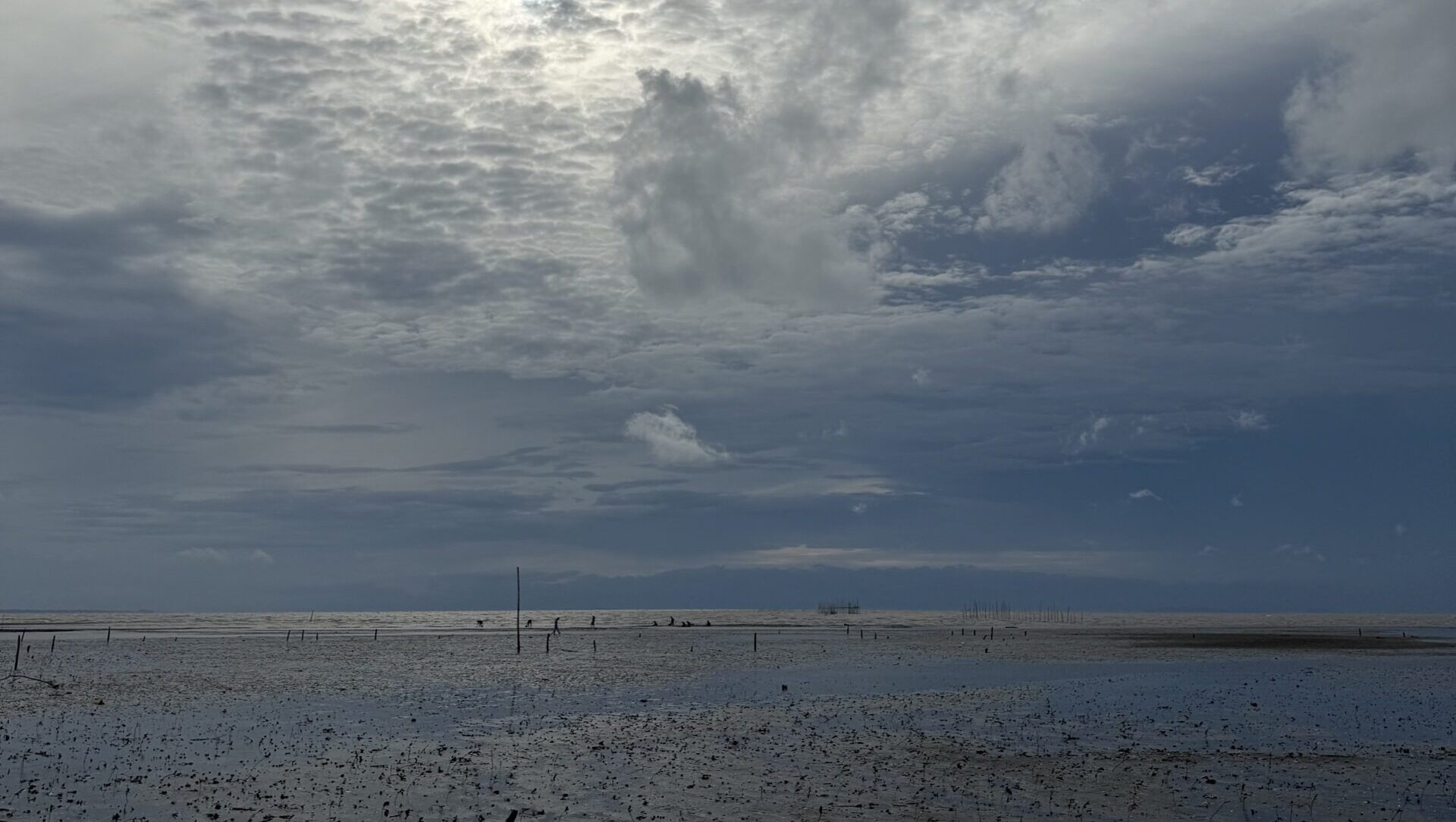 マングローブ植林体験 at Balaring Mangrove Eco-Park
